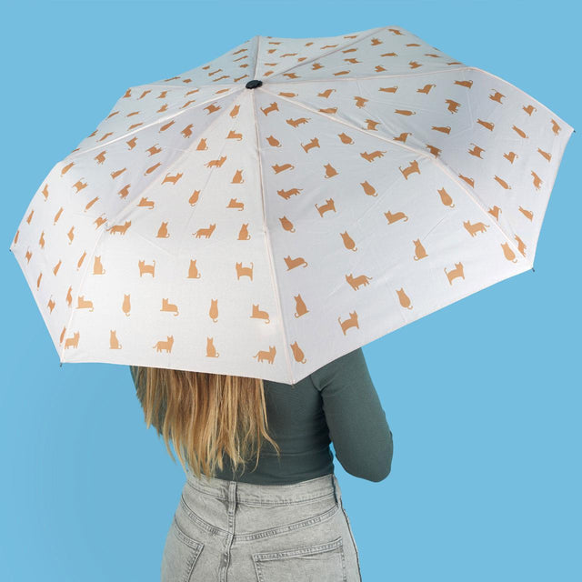 Calico Cat Umbrella Full View