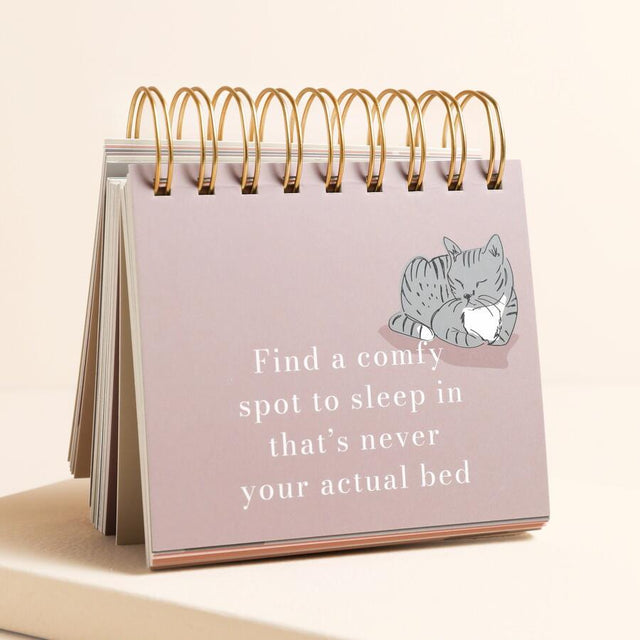 Be More Cat Desktop Flip Chart Quote