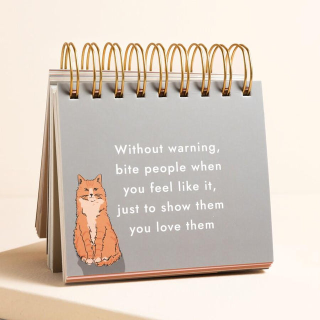 Be More Cat Desktop Flip Chart Detail View