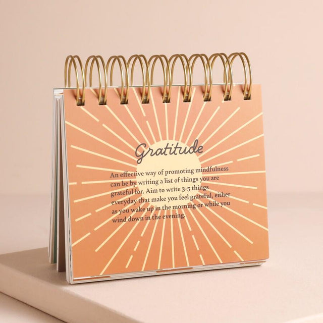 Daily Mindfulness Flip Chart Page View