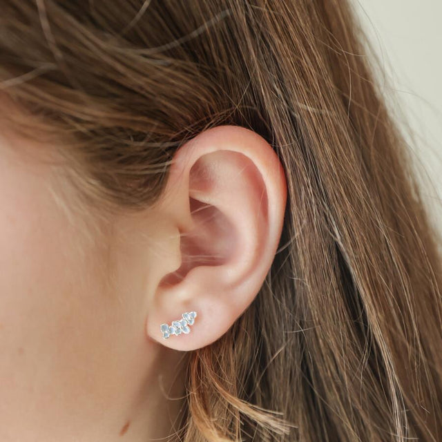 Forget Me Not Flower Earrings in Blue and Silver Triple Flower