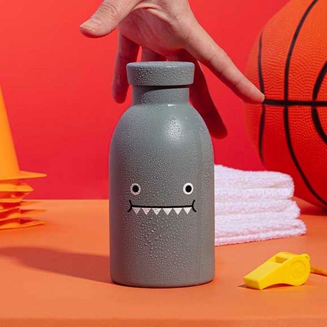 Ricedino Sage Clima Water Bottle in Situ