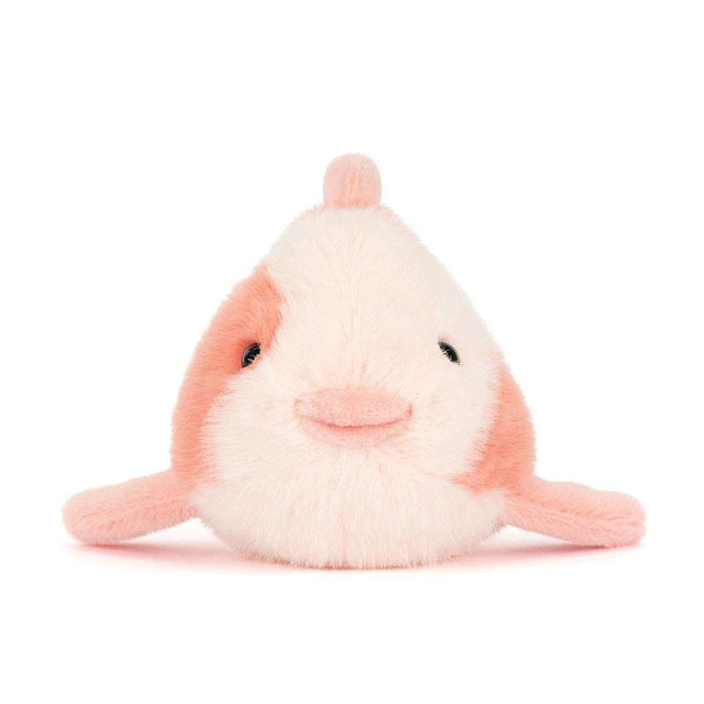 Fancy Carp Front Facing