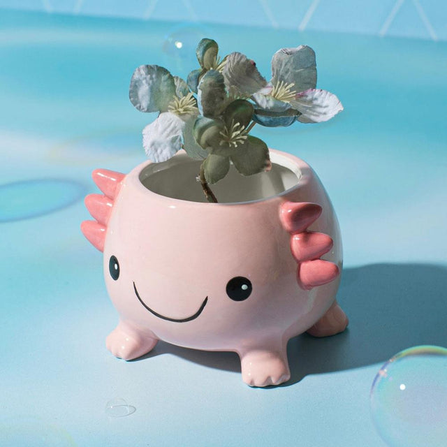 Axolotl Planter