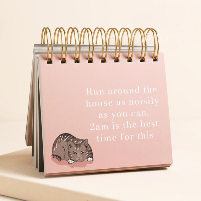 Be More Cat Desktop Flip Chart Page Close Up