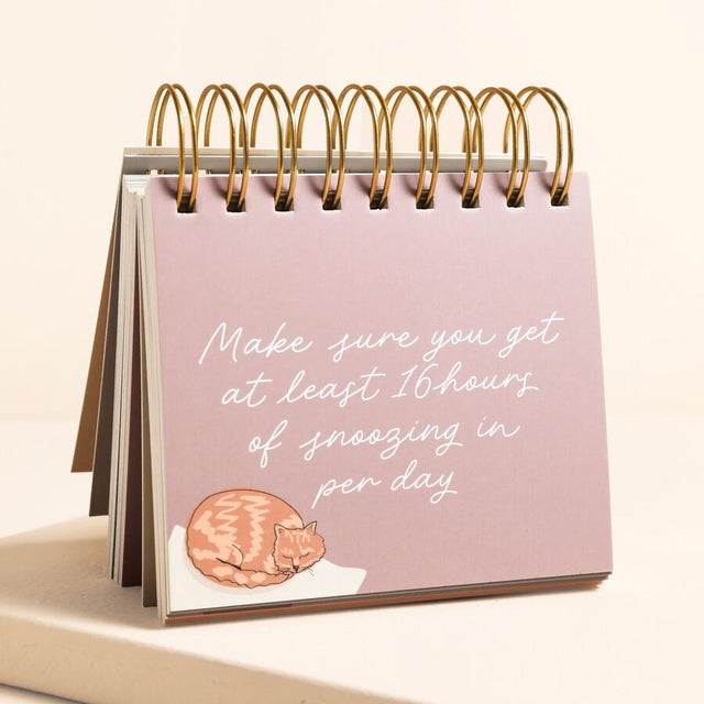 Be More Cat Desktop Flip Chart Page View
