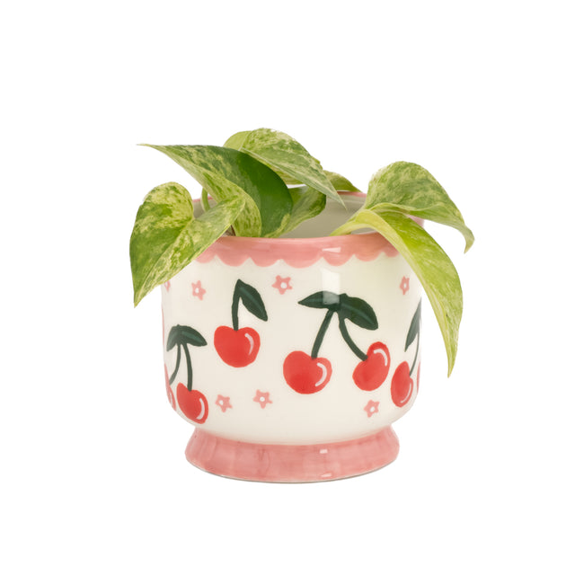 Cherry Mini Planter