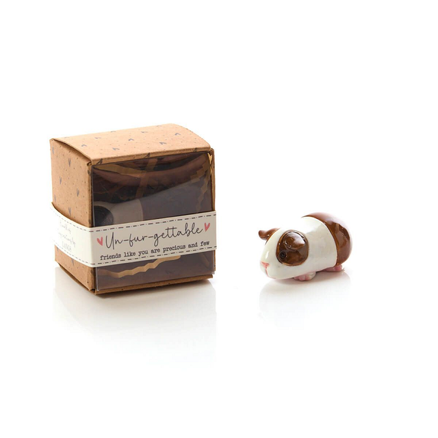 Guinea Pig Resin Ornament Blank background