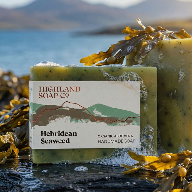 Hebridean Seaweed Organic Soap Bar Scene