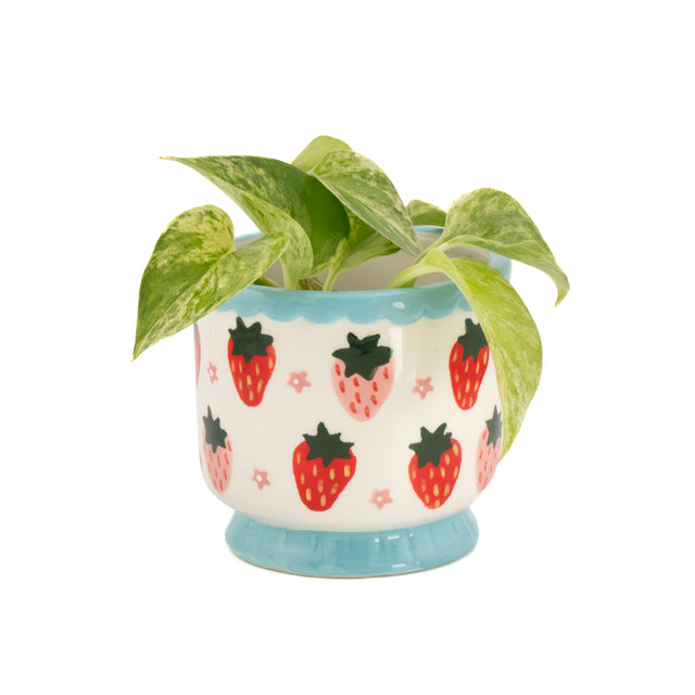 Strawberry Mini Planter