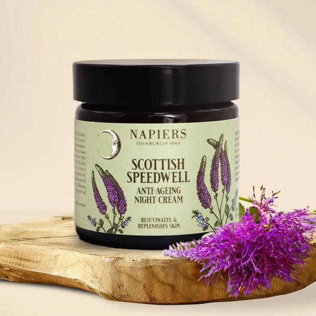 Speedwell Ageless Night Cream