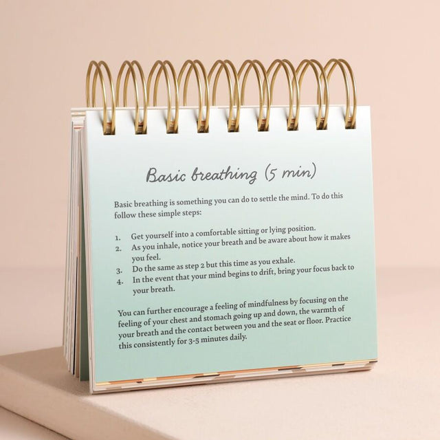Daily Mindfulness Flip Chart Detail