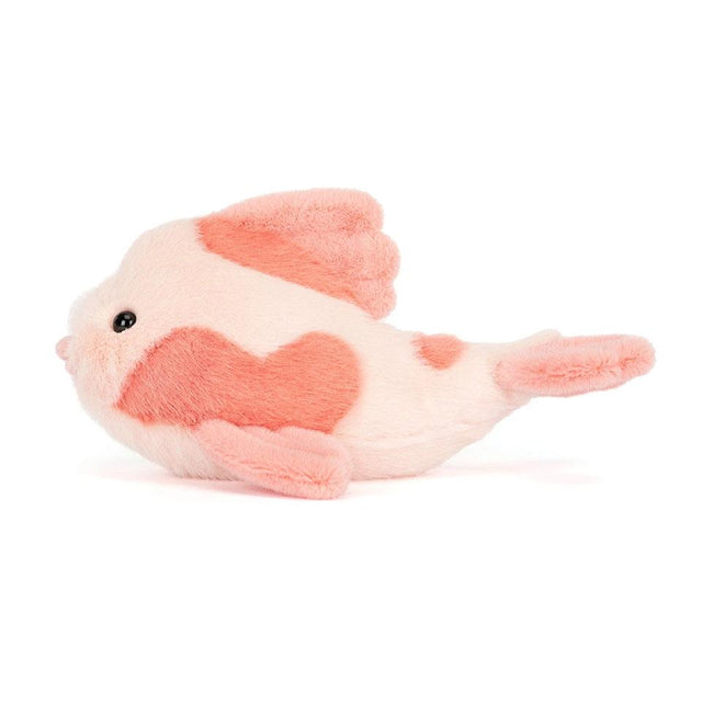 Fancy Carp Side Facing